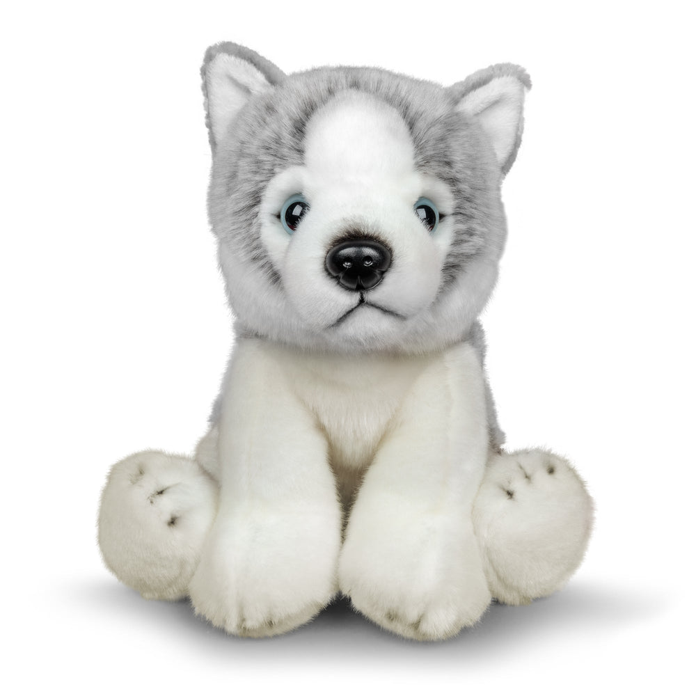 Peluche Animigos Husky