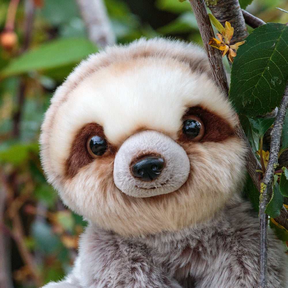 Peluche Animigos Paresseux
