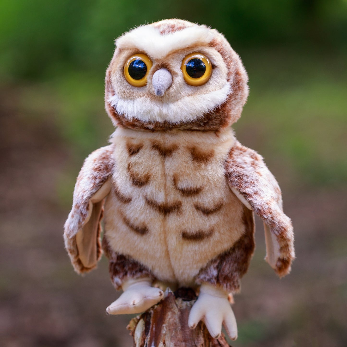 ANIMIGOS THE WORLD OF NATURE OWL GUY