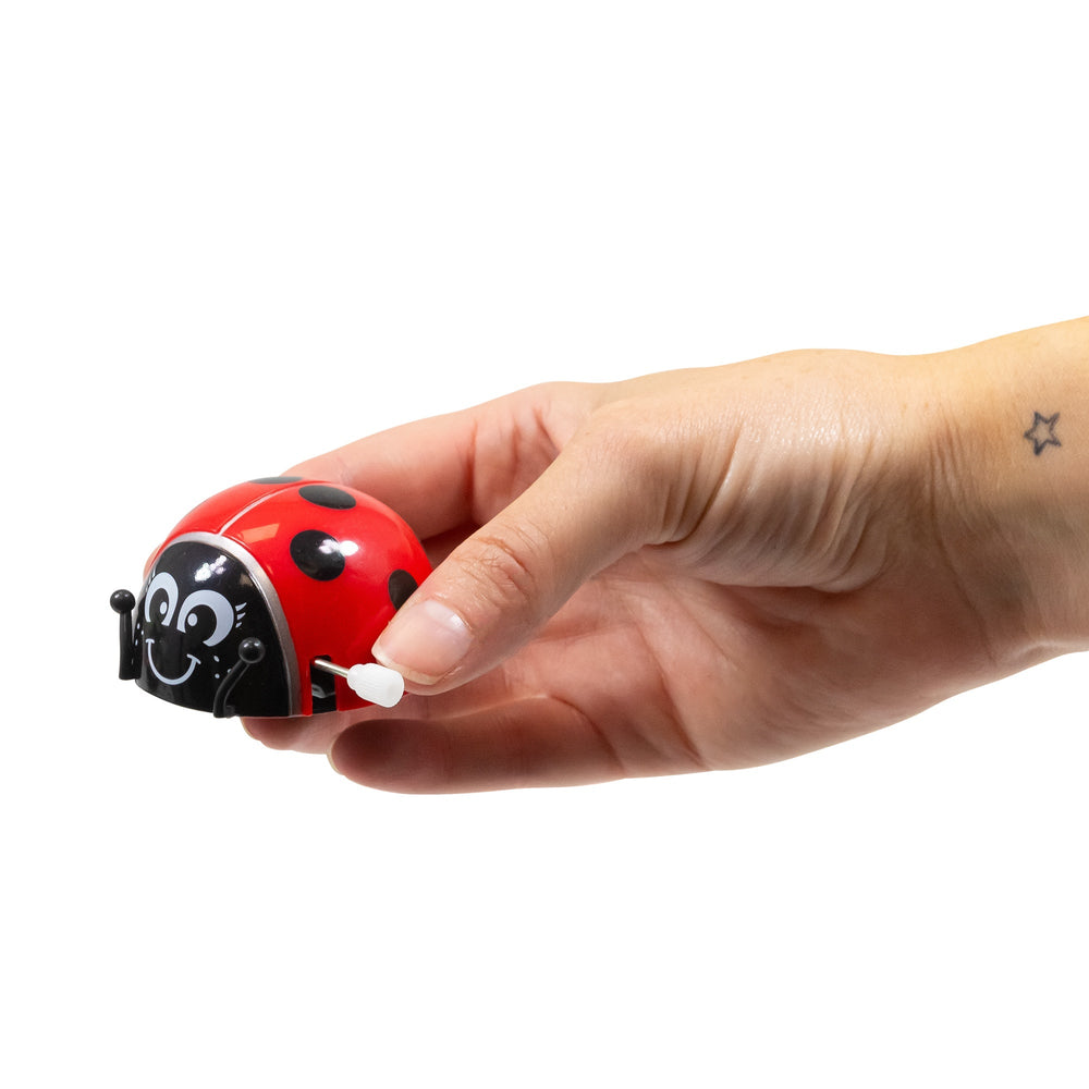 Coccinelle Acrobate à Remontoir