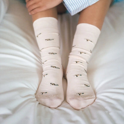 Chaussettes Canards