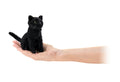 Black Cat Finger Puppet