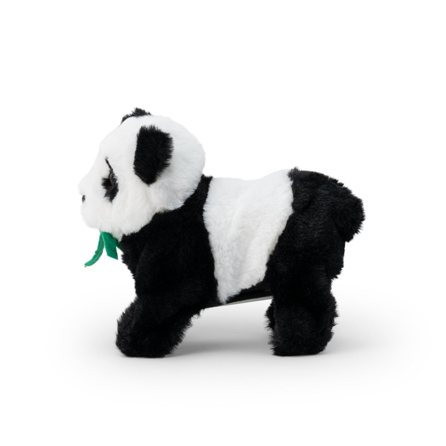 ANIMIGOS RETOURNANT LE PANDA