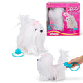 Animigos Bichon Maltais Interactif