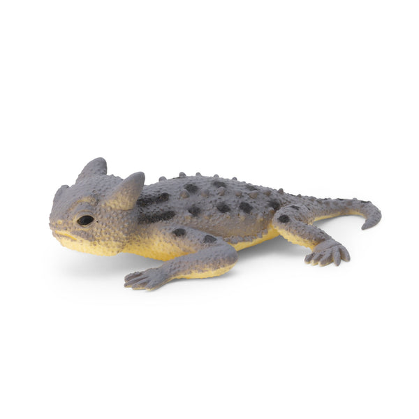 LÉZARDS QUI CHANGENT DE COULEUR