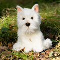 Peluche Animigos Westie
