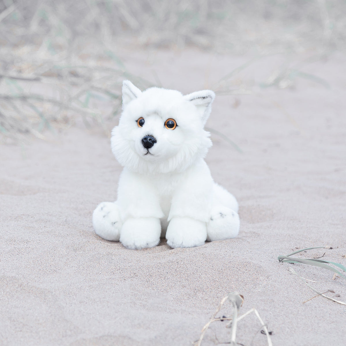 Arctic Fox