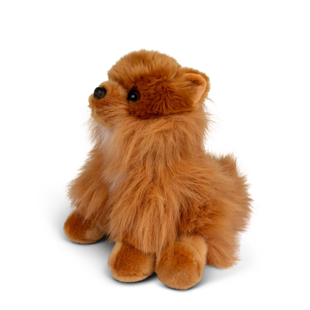 Peluche Poméranien Animigos World of Nature – 30 cm