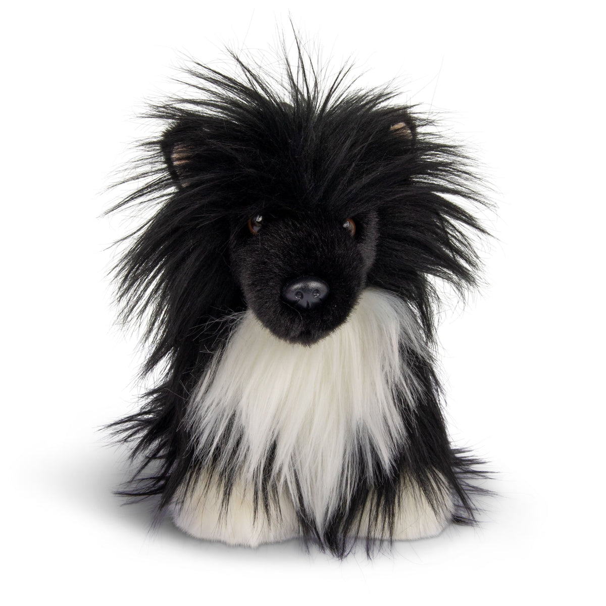 Chien chinois à crête
