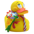 Romantic Duck