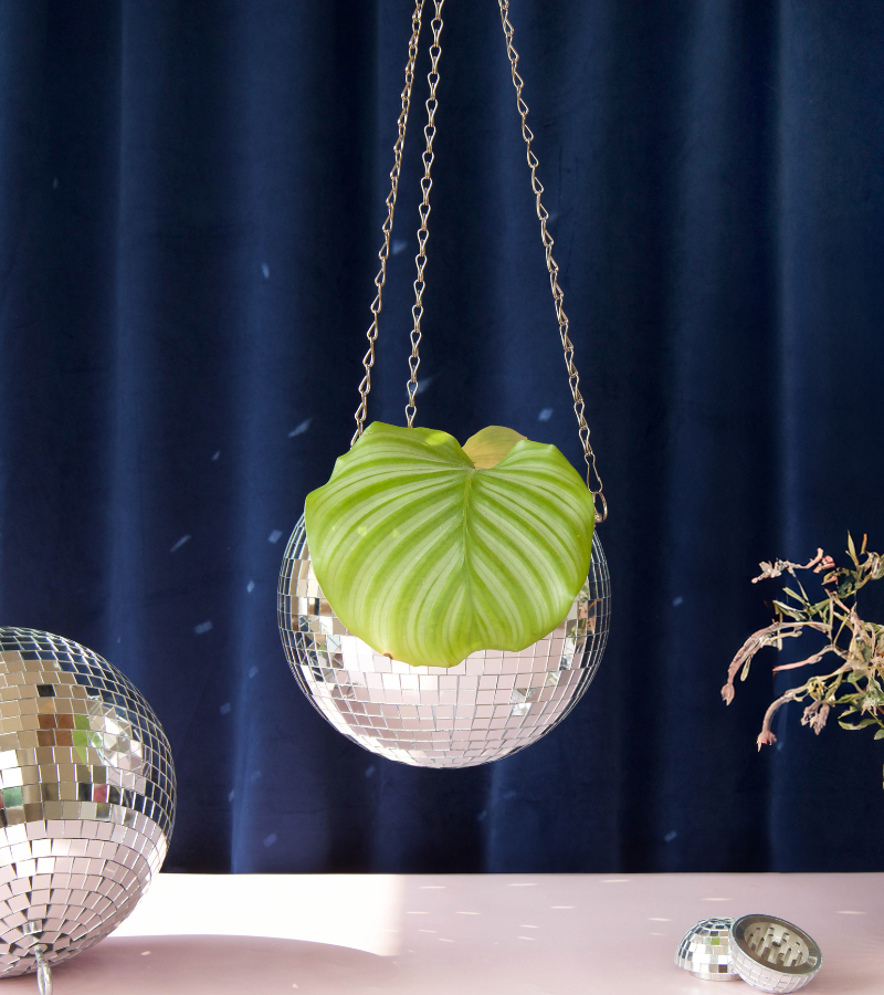 Disco ball plant pot