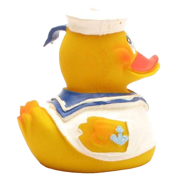 Canard Marin