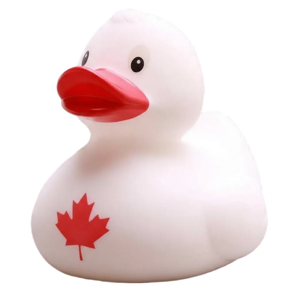 Canadese eend
