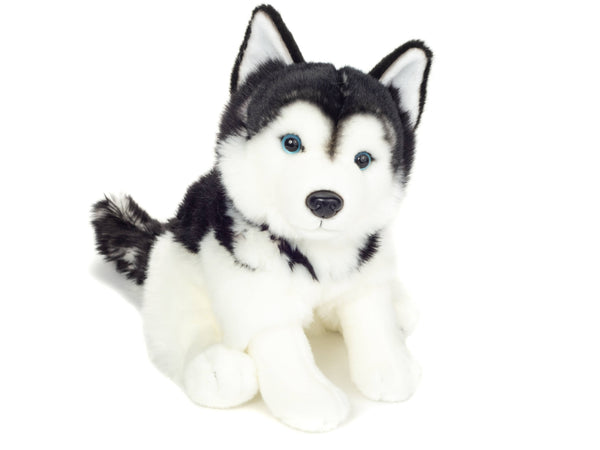 Peluche Husky Assis – 30 cm - Teddy Hermann