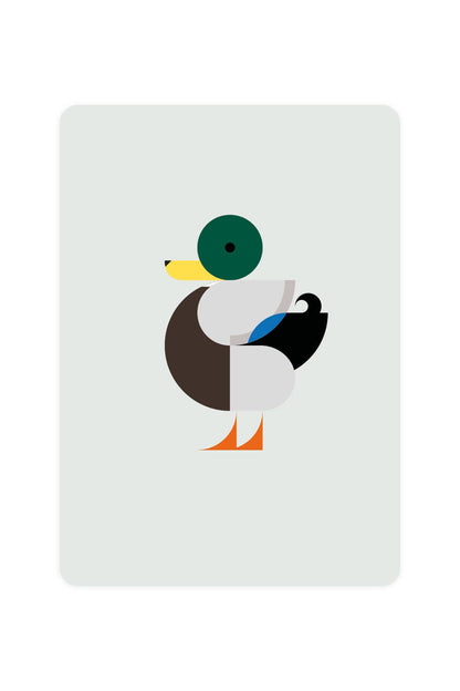 Postcard with Mallard Duck
