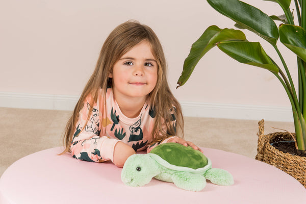 Knuffel van Sandy de schildpad