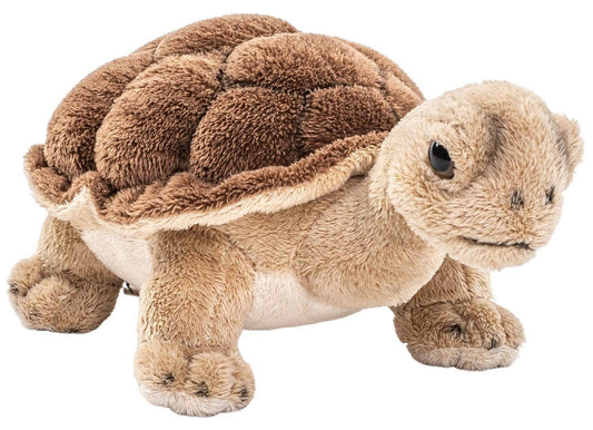 Peluche Tortue