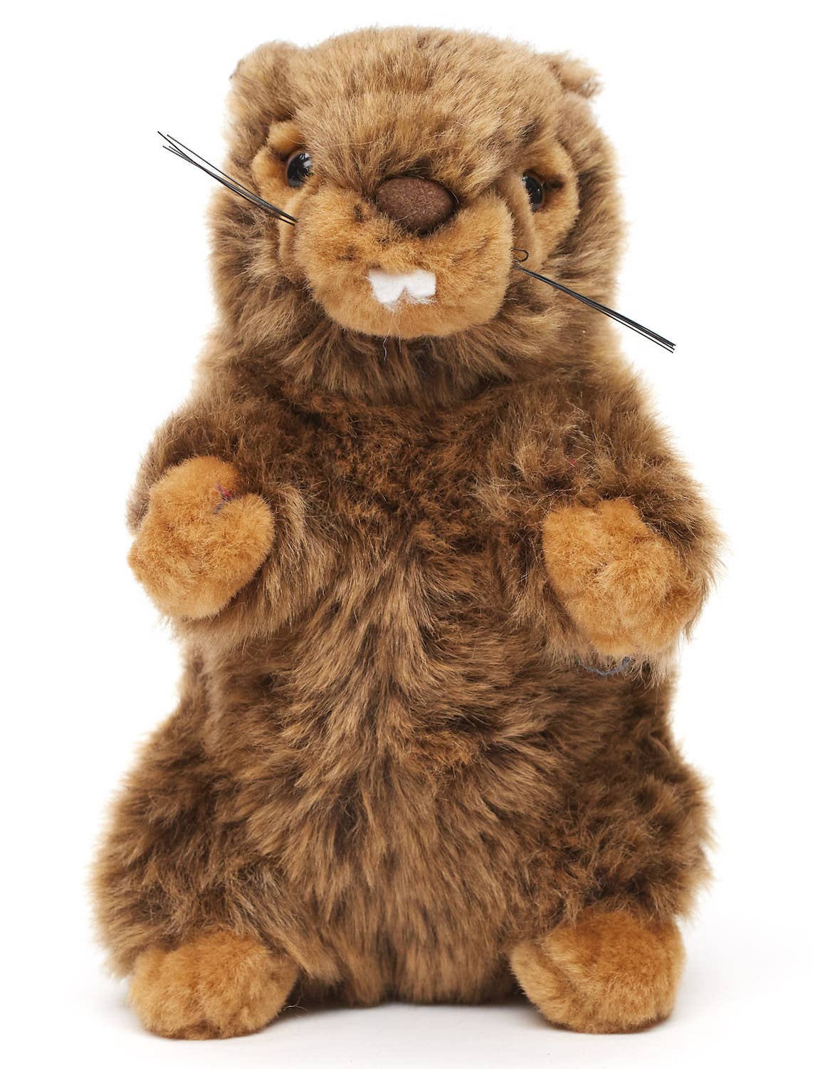 Peluche Marmotte sans Voix Debout