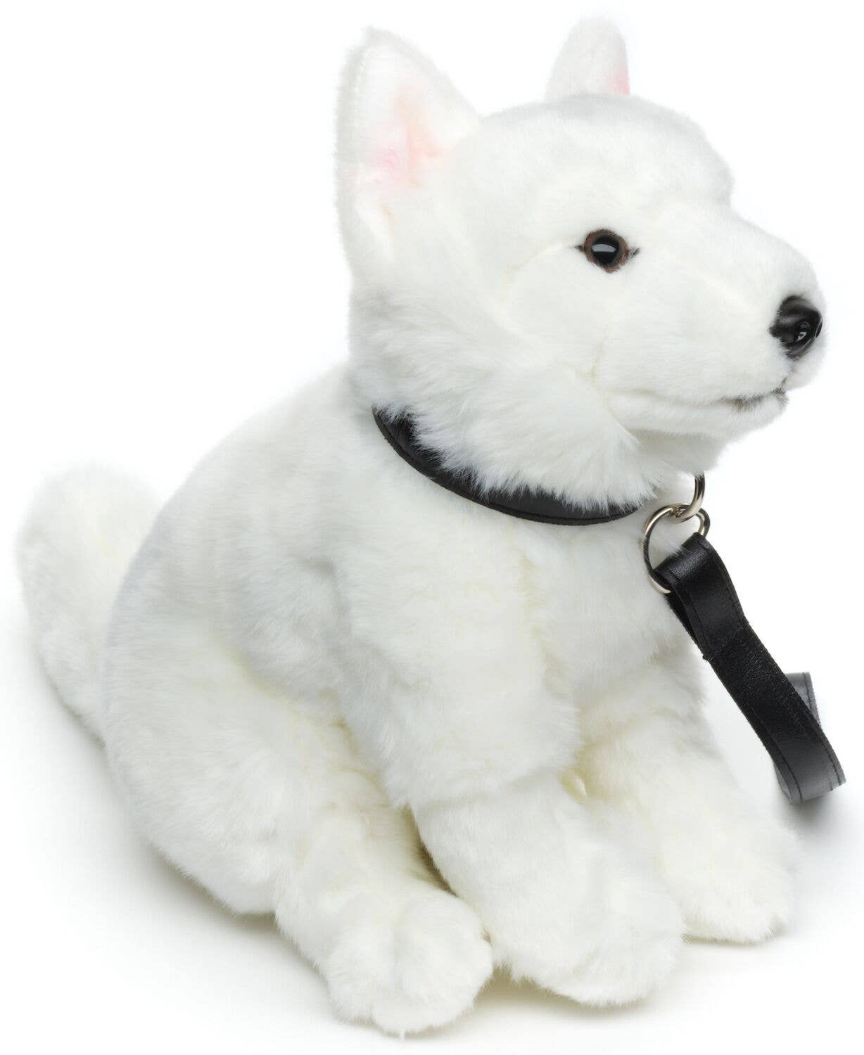 Plush Swiss Shepherd Puppy Sitting with Leash