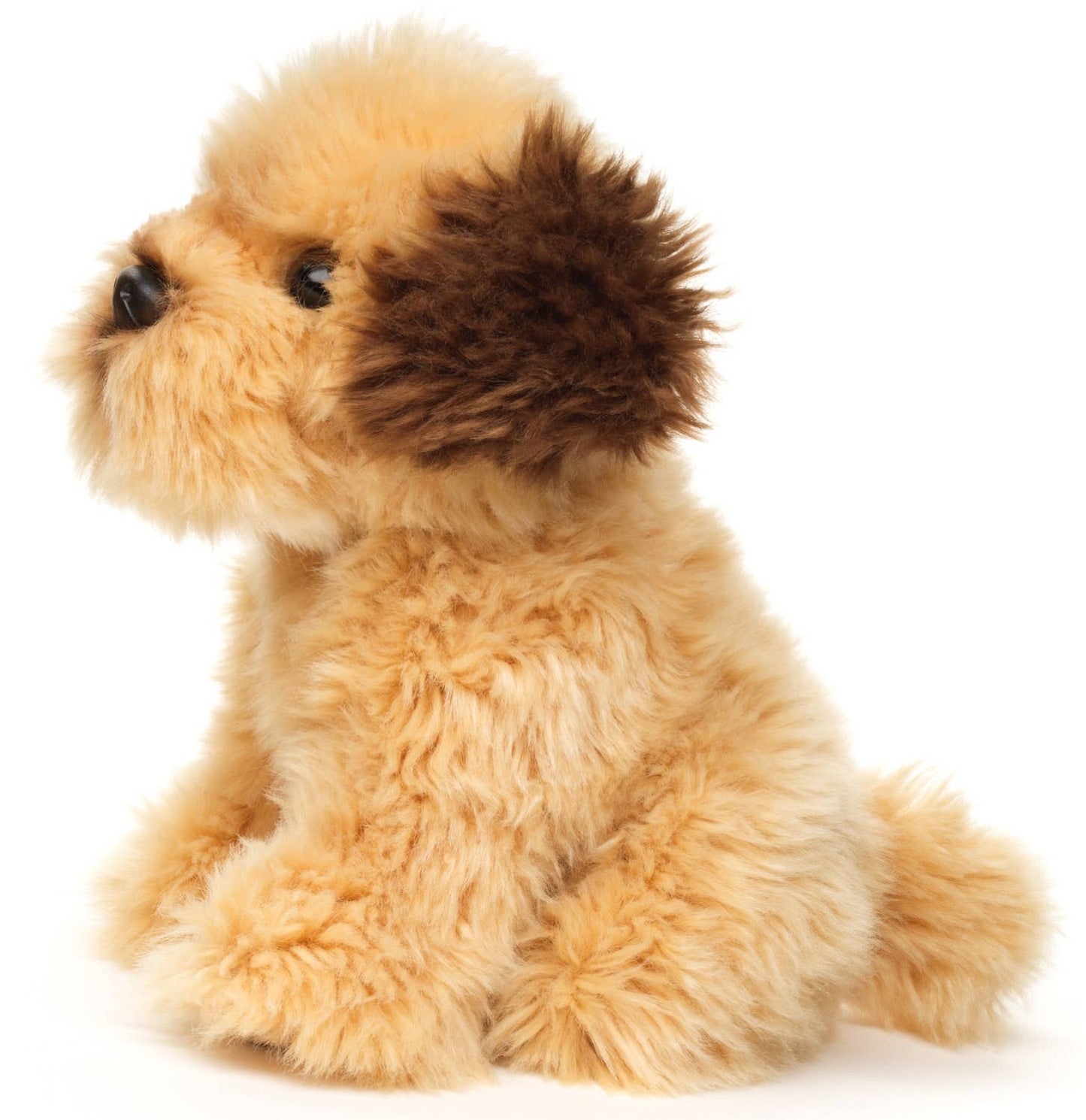 Peluche Shih Tzu Doodle, assis