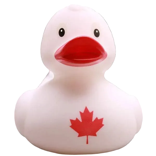 Canadian Duck