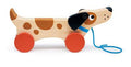 Trekkende hond
