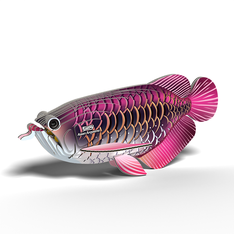 eugy 118 asian arowana