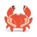 Meerestier - Crabe