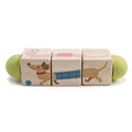 Torsions de Cubes - Animaux
