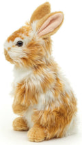 Peluche Lapin Lionhead Lève-toi. Doré