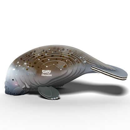eugy 122 manatee