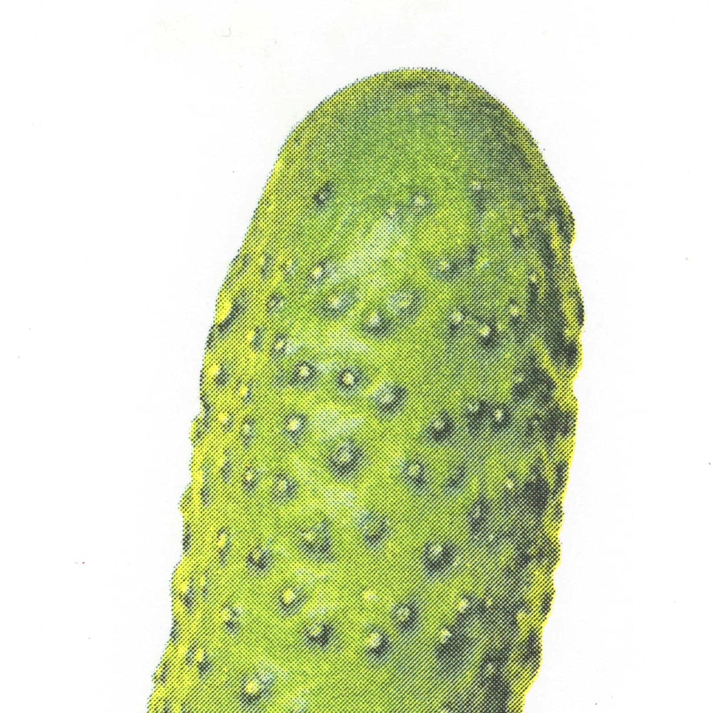 Pickle Postcard