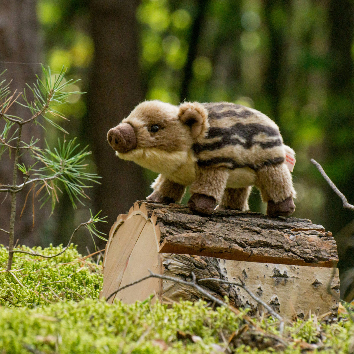 Wildschweinfrischling-Plüschtier