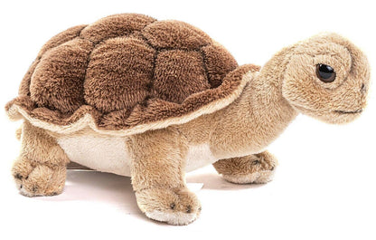 Knuffelschildpad