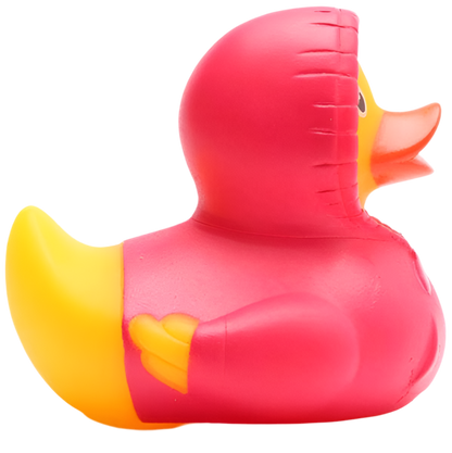 Duck Hoodie - Pink
