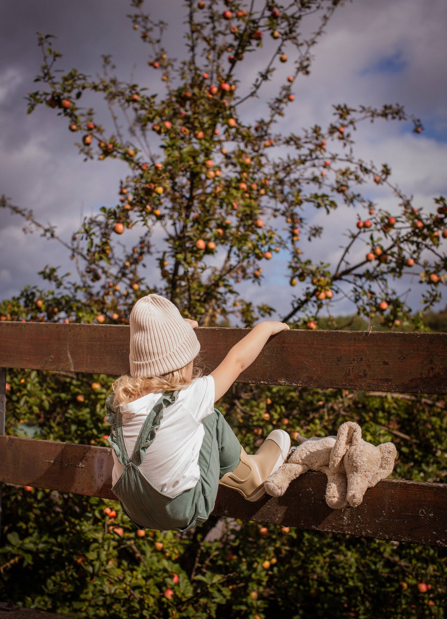 Animal en peluche Éléphant petit | lin