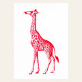 Ansichtkaart met rode giraffe