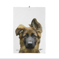 Torchon Stark de Duitse herder
