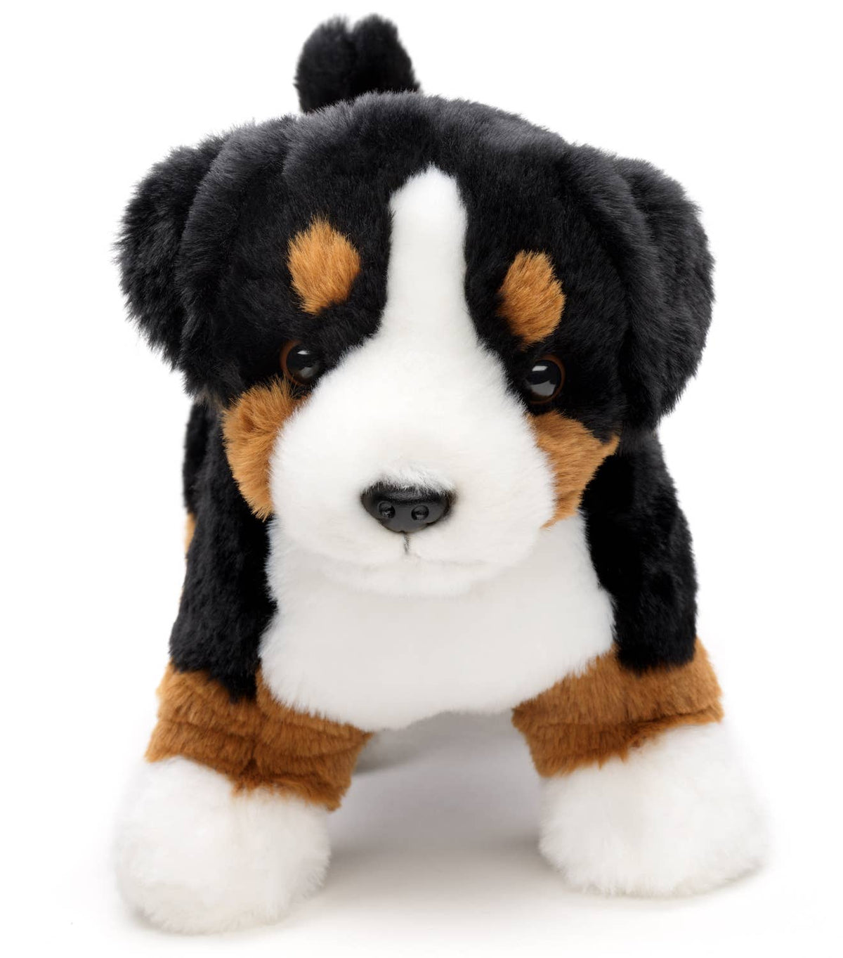 Peluche chien de montagne bernois, debout - sans laisse - 29 cm (longueur)