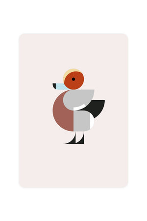 Carte Postale avec Wigeon