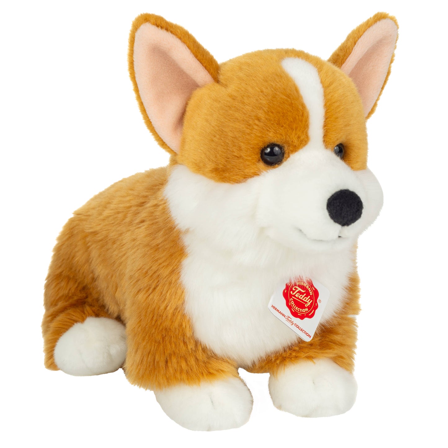 Peluche Corgi