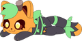 Peluche Akkeri
