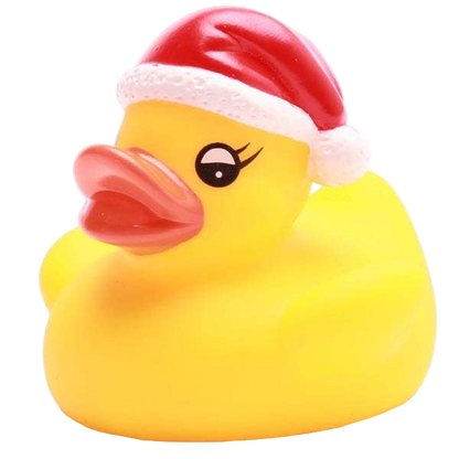 Petit Canard de Noël