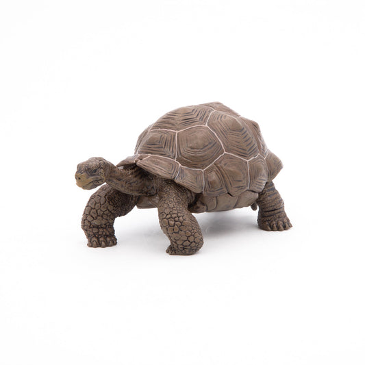 Galapagos Tortoise Figurine