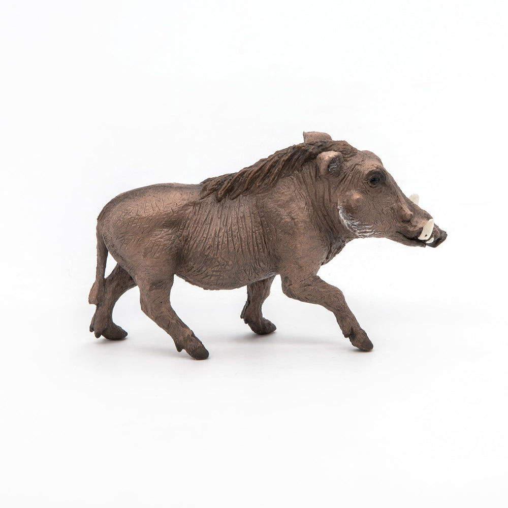 Figurine Phacochère