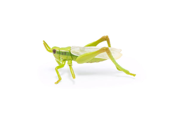 Figurine Sauterelle Papo - animal du jardin