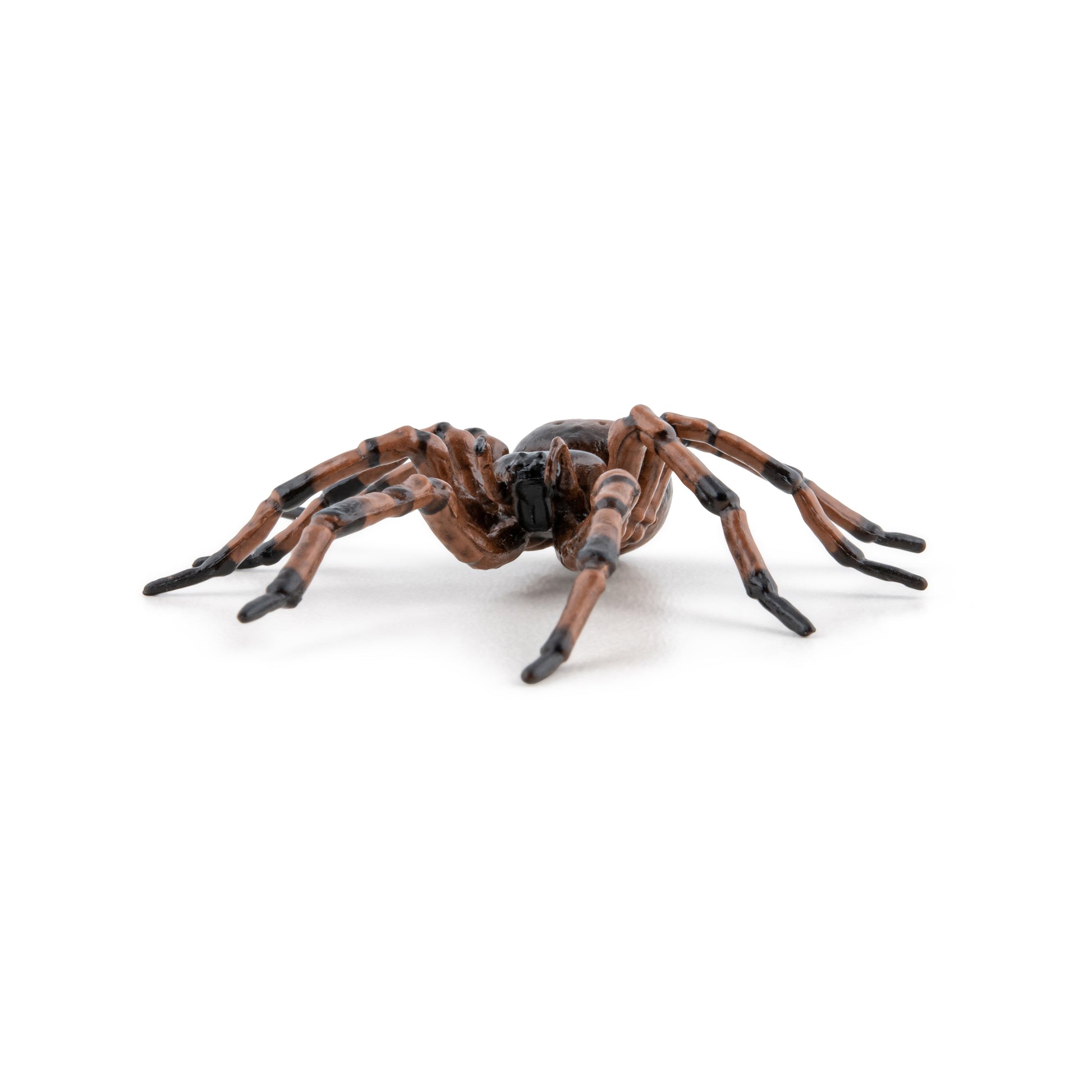 Figurine Araignée commune Papo - animal du jardin