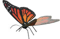 Monarchfalter