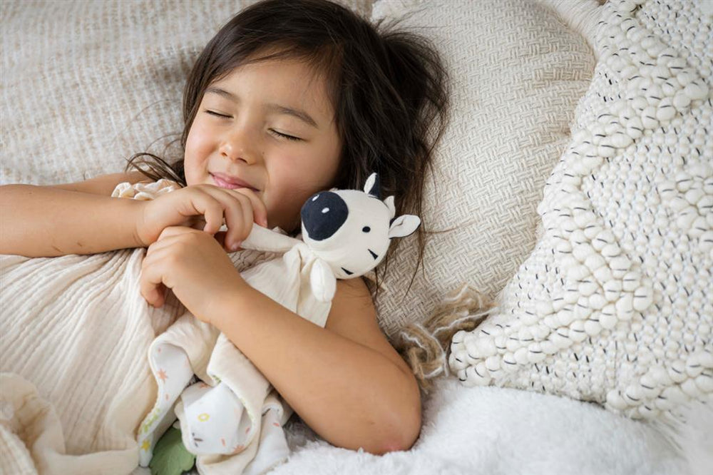 Zebra Comforter with Teething Ring