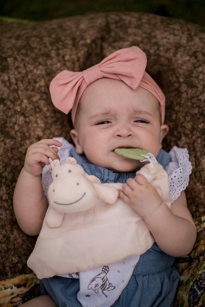Doudou Hippopotame avec Anneau de Dentition
